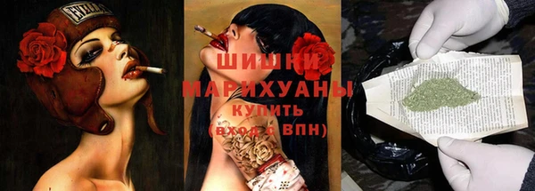 амф Алексин