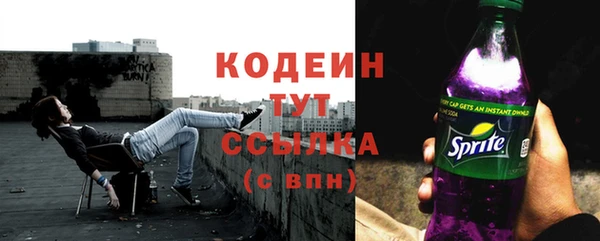 прущие грибы Абинск