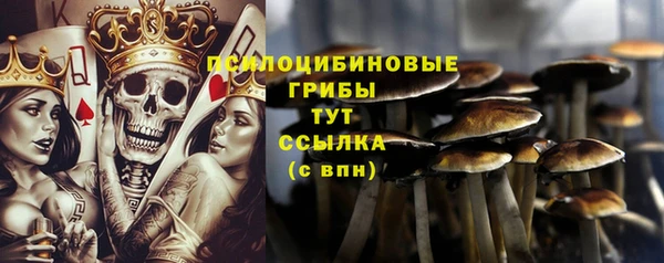 таблы Алексеевка