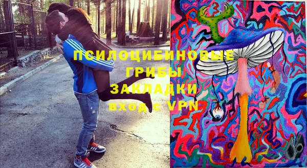 apvp Абаза
